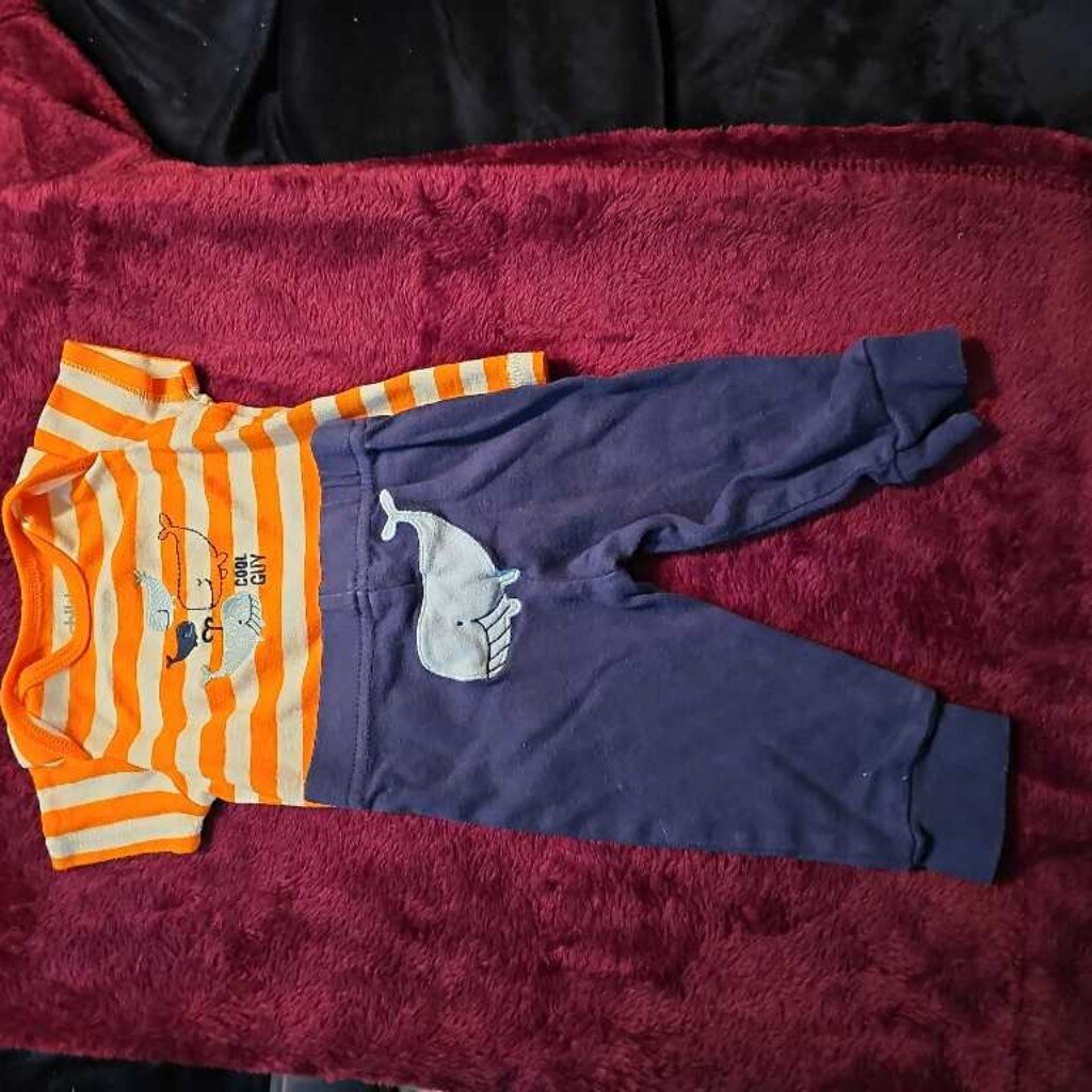 Carters 2pc Outfit