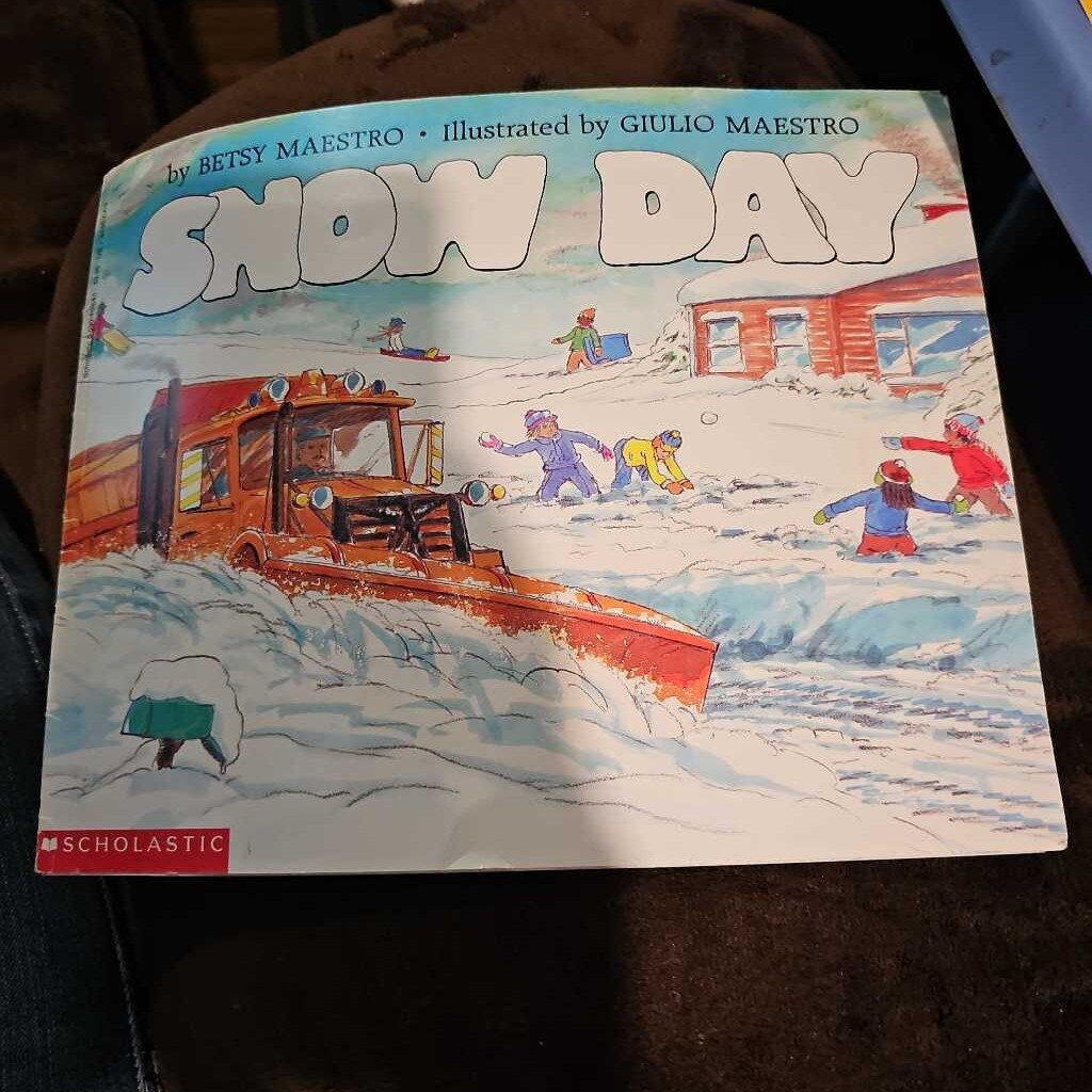 Snow Day Book