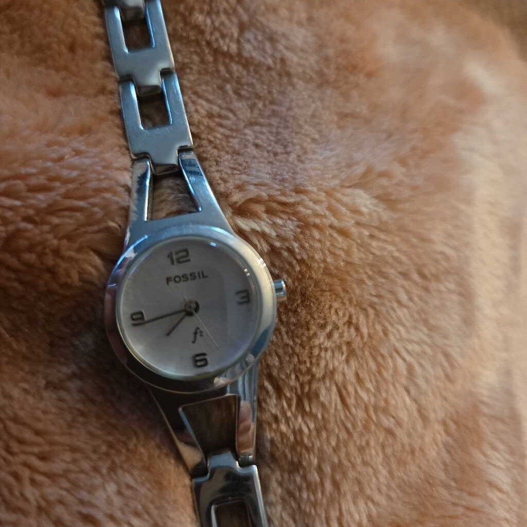 Fossil Watch