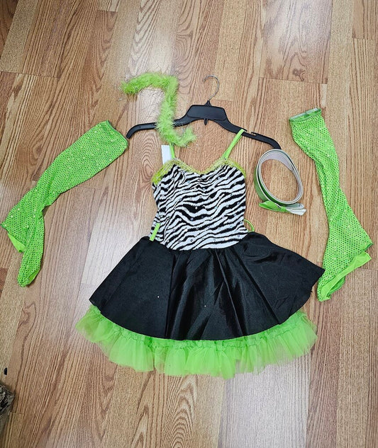 DANCE COSTUME