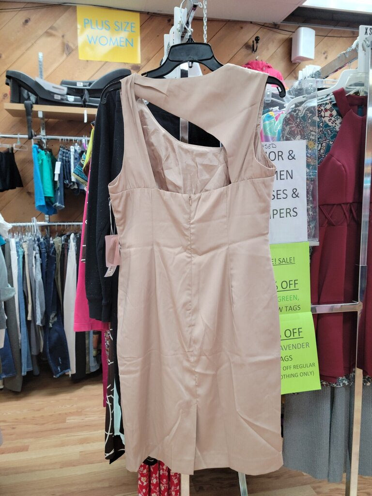 NEW LOVE 21 DRESS