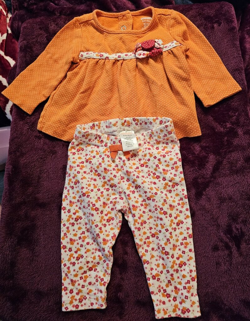 Gymboree 2pc Outfit