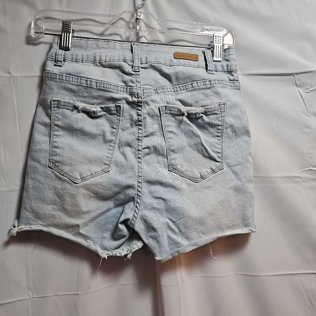 Vince Blue Co. Shorts