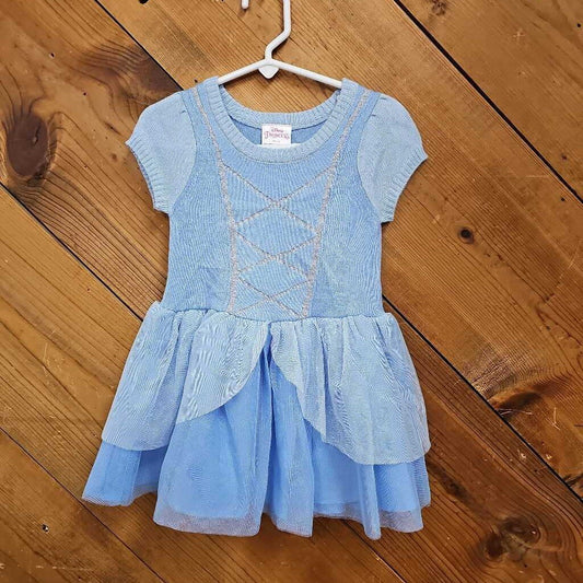 Disney Princess Dress