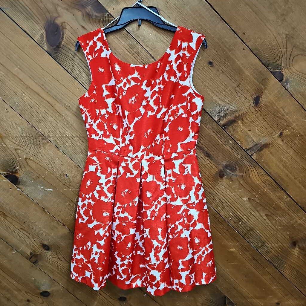 Danny & Nicole Dress