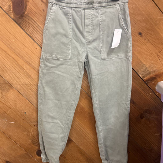 Zara Pants