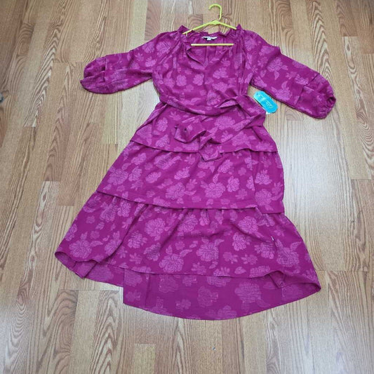 New Pioneer Woman Dress