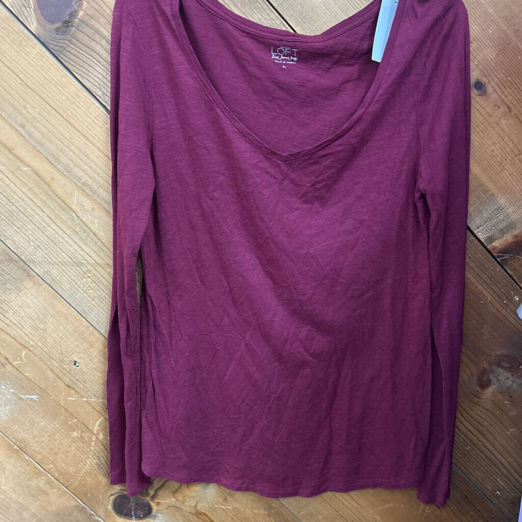 Ann Taylor Loft Shirt