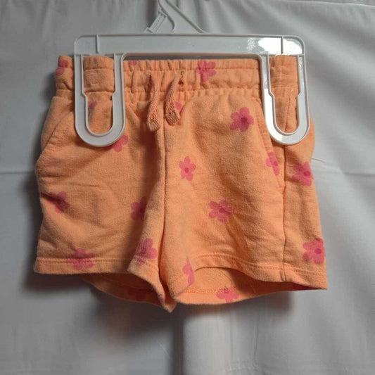 New Cat & Jack Shorts