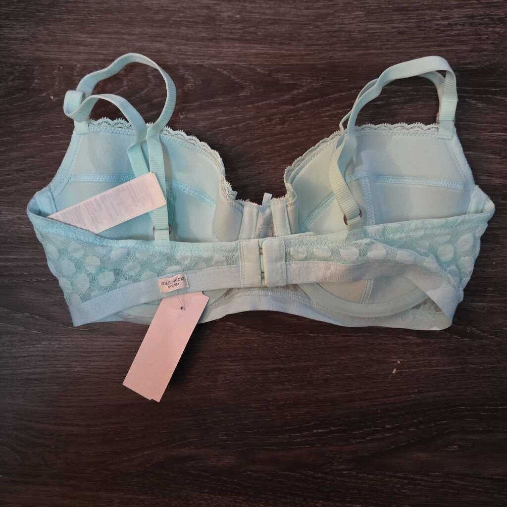 New Gilly Hicks Bra