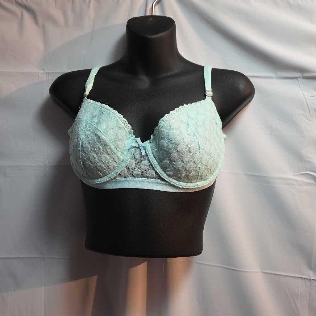New Gilly Hicks Bra
