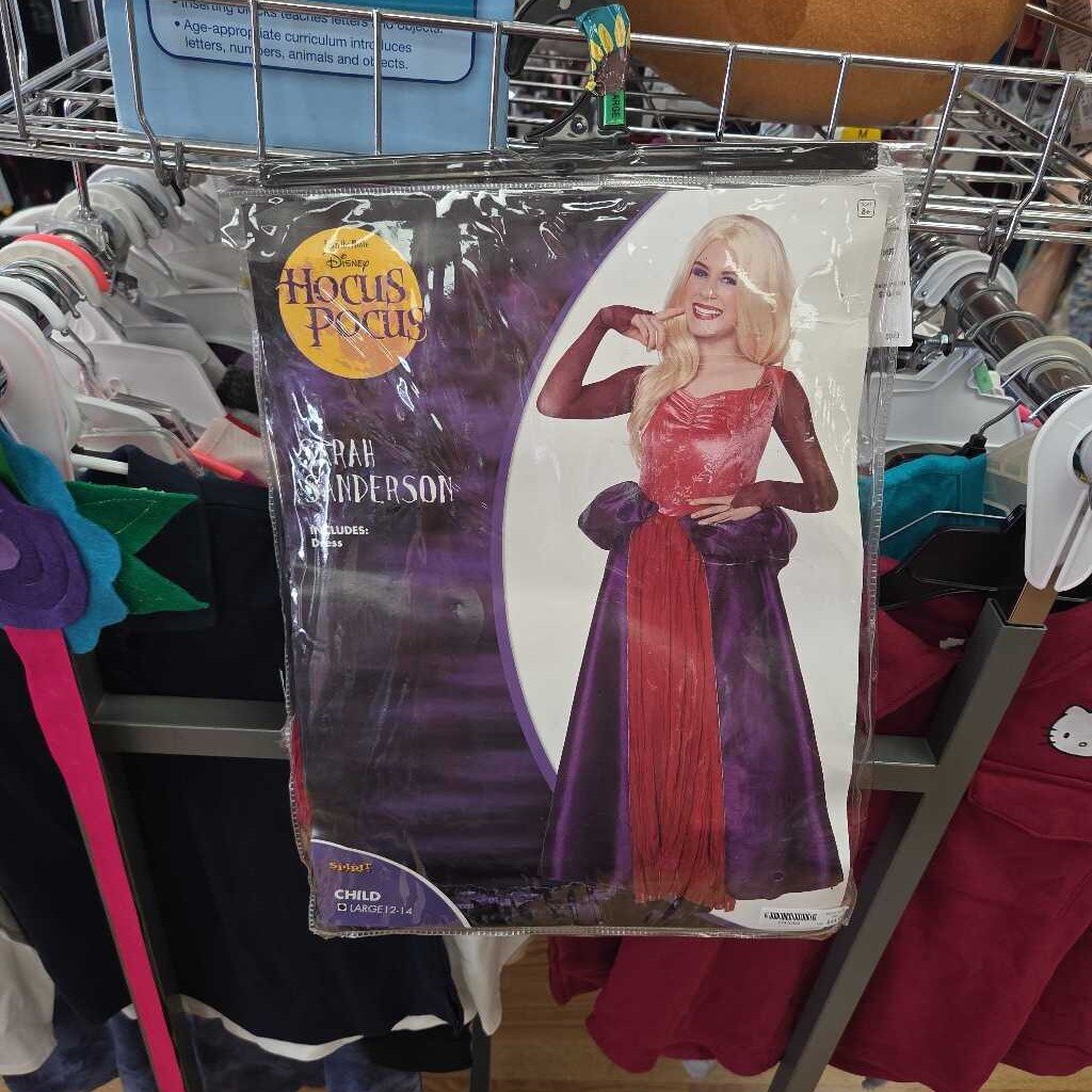 Hocus Pocus Sarah Sanderson Costume