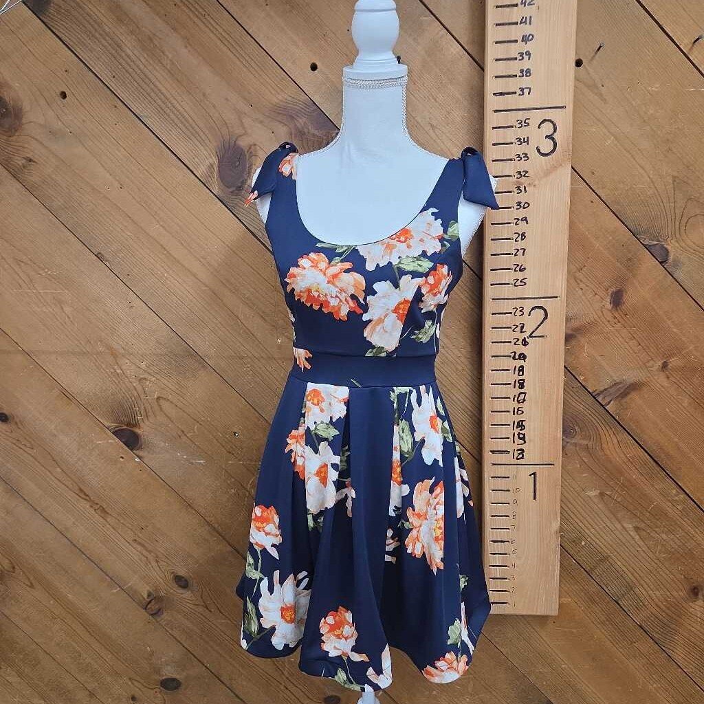 Teeze Me Dress