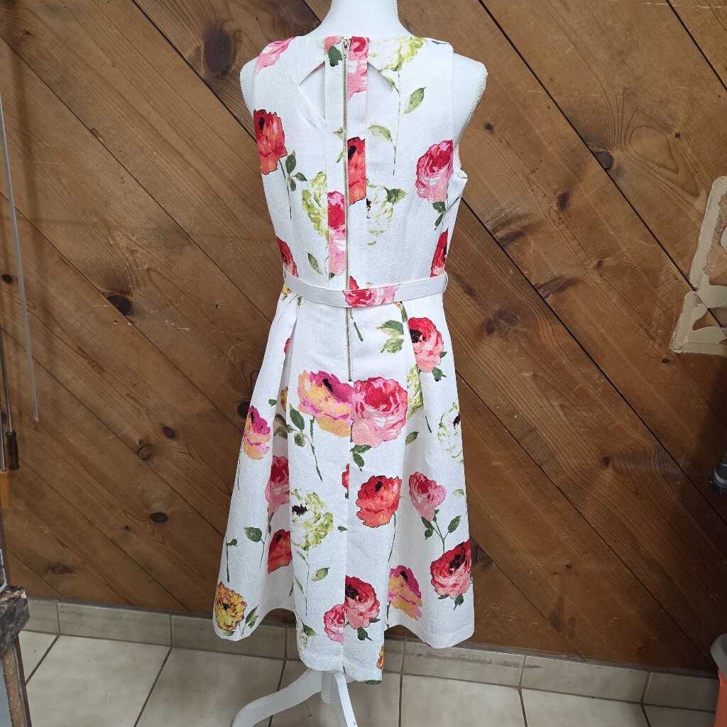 New Danny & Nicole Dress