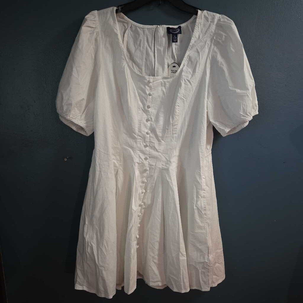 New Scoop Dress