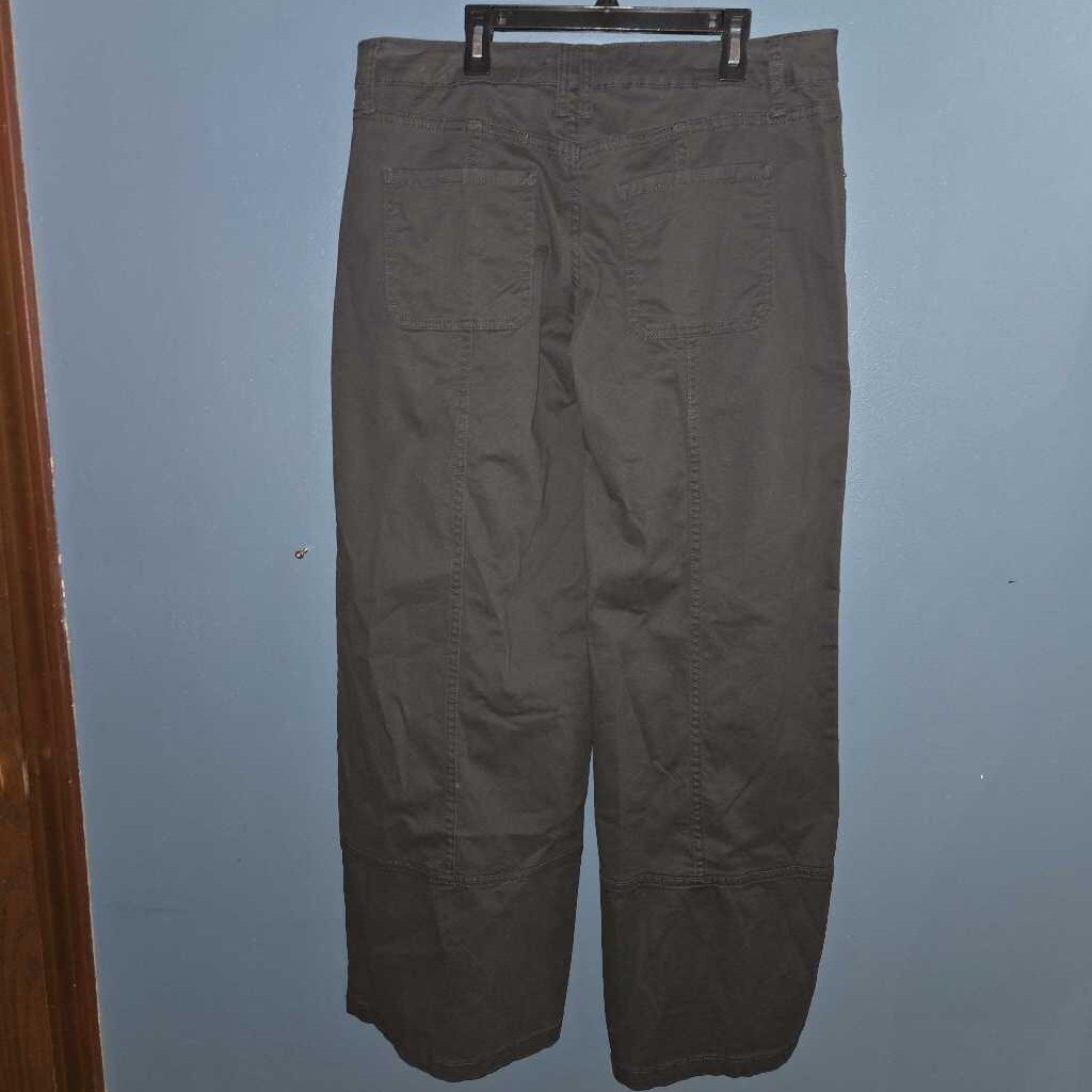 New Wild Fable Pants