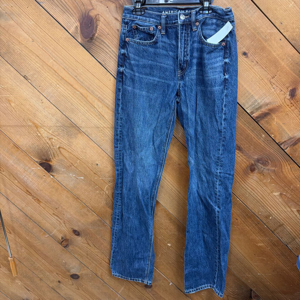American Eagle Jeans Low Rise Baggy Straight